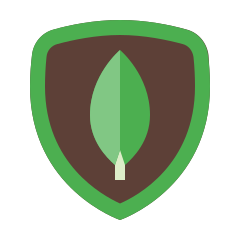 img-mongodb